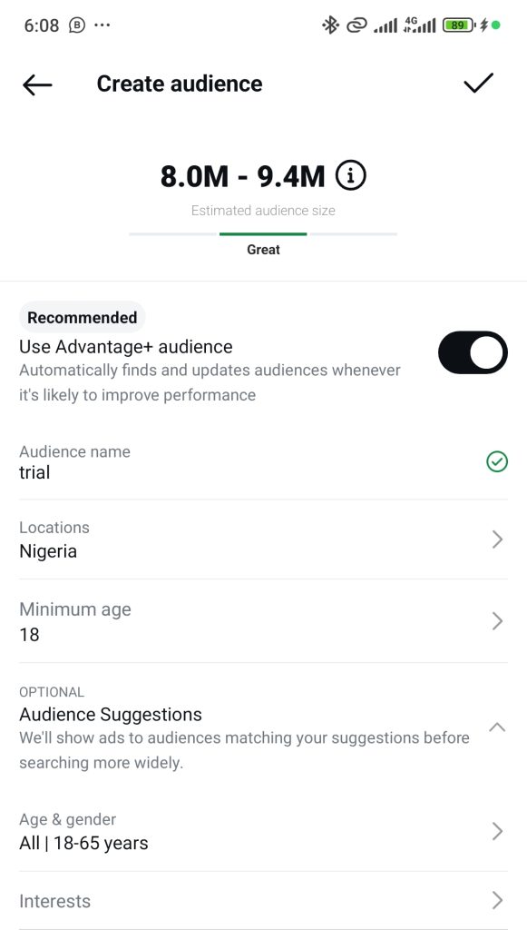 How to advertise on instagram in Nigeria: Screenshot on the number of Nigerian users in Nigeria above 18 years as of November 2024