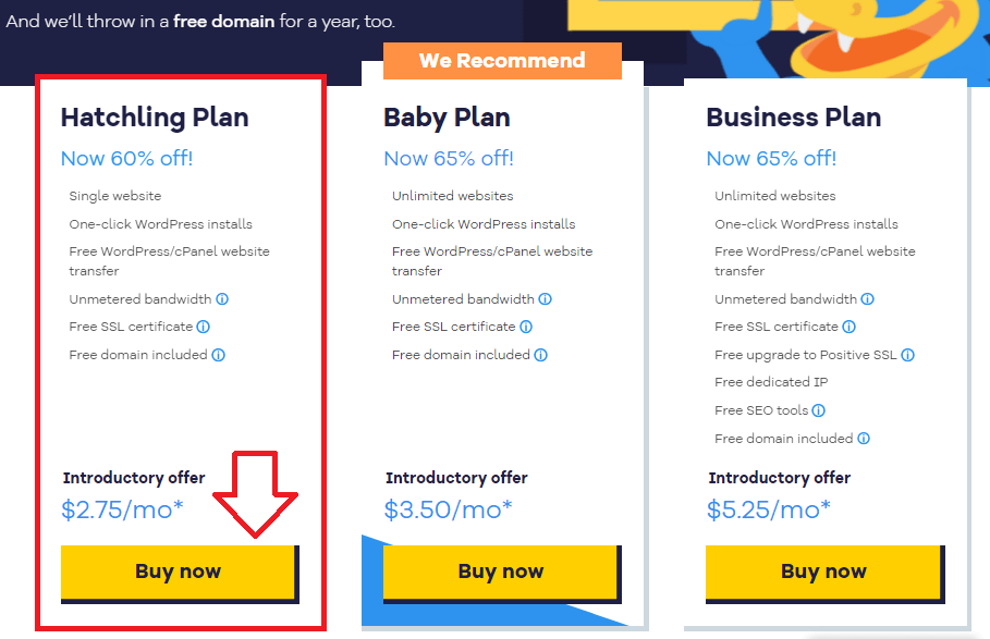 how to create a website for business. Choosing a hosting plan
